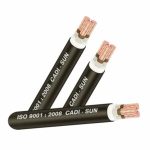 Cáp điện lực ruột đồng Cu/PVC 3×10+1×6